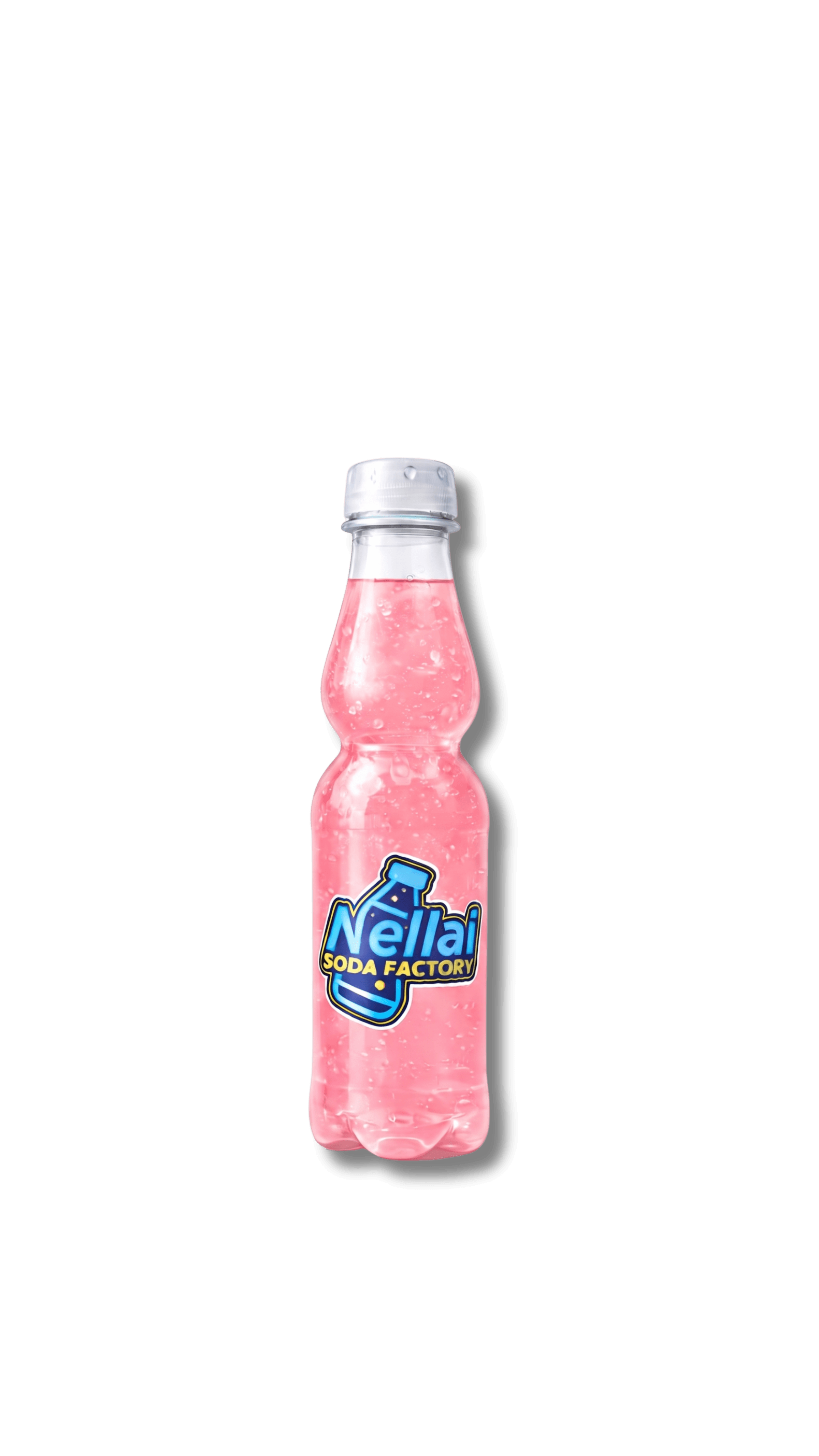 PET Bottle